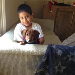 Meet your Posher, Armando